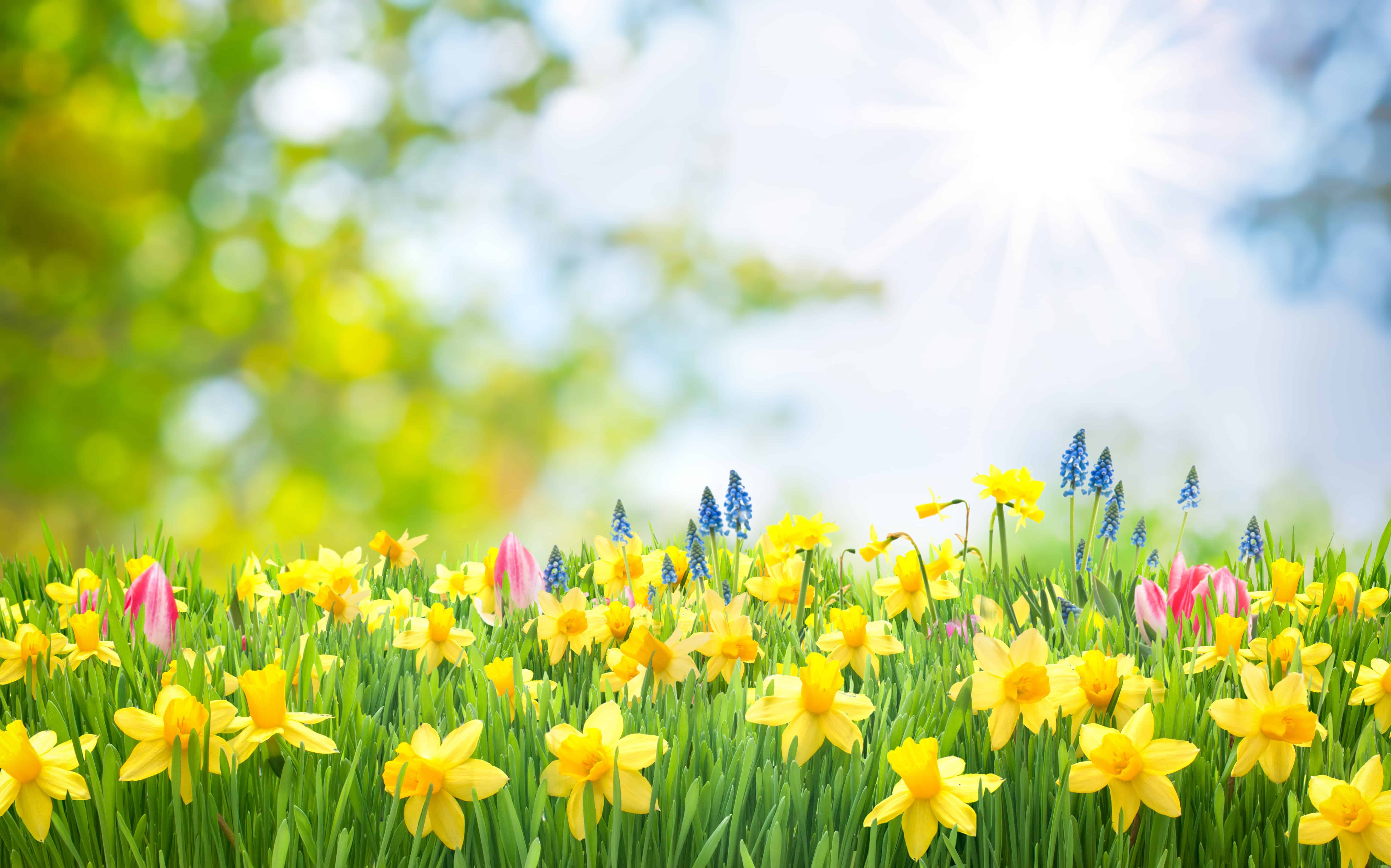 Featured image of Spring into Action: Ten Essential Tips to Prepare Your Home for the Season